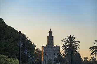 Spain, Andalusia, Seville, Torre del Oro at dawn