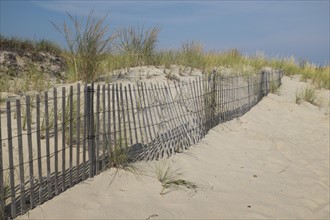 Fence and grass in sand dunes at summer
