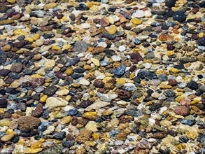 Colorful pebbles underwater