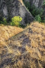 Ukraine, Dnepropetrovsk region, Novomoskovsk district, Landscape with ravine