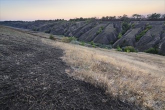 Ukraine, Dnepropetrovsk region, Novomoskovsk district, Landscape with ravine at dawn