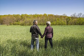 Mature couple holding hands in field