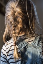 Rear view of girl's braided hair