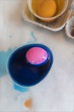 Raw egg dyed blue and pink