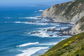 Coastline in Tomales, San Francisco, USA