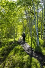 Woman hiking in Sun Valley, Idaho, USA