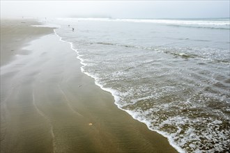 Beach in Morro Bay, California, USA