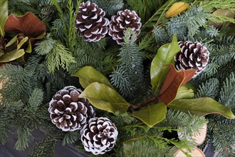 Pinecones and greenery