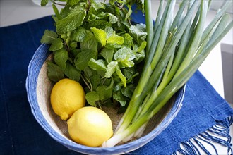 Bowl of mint, lemons and spring onions