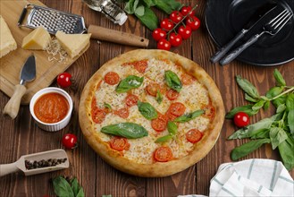 Margherita pizza with ingredients