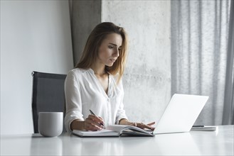 Young businesswoman writing notes while working on laptop