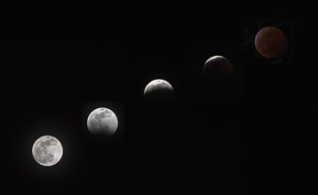 Composite image of lunar cycle