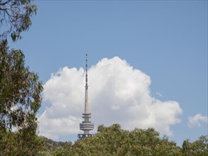 Telstra Tower behind trees in Canberra, Australia