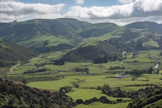 Rural landscape in Tawanui, New Zealand