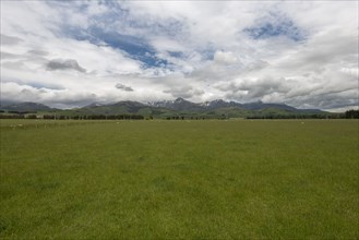 Green field under cloudscape in Te Anau Downs, New Zealand