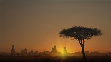 Silhouette of tree in front of city skyline at sunset in Nairobi, Kenya