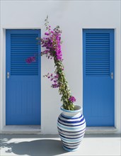 Flowers in vase by blue doors