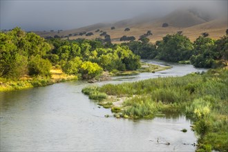 Treelined river in Paso Robles, California, USA