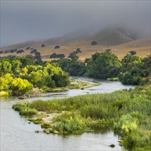 Treelined river in Paso Robles, California, USA