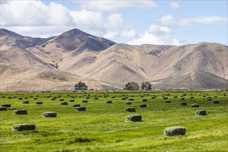 Hay bales in field by mountains in Picabo, Idaho, USA