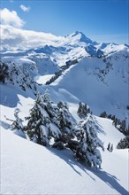 Mount Baker Ski Area in Washington State, USA