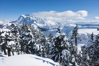 Mount Baker Ski Area in Washington State, USA