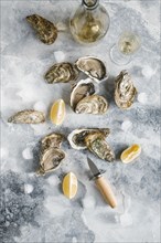 Raw oysters with lemon and champagne