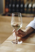 Woman's hand holding glass of white wine