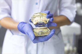 Dental assistant holding model teeth with braces