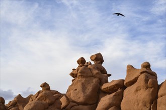 Bird flying above rock formation in Goblin Valley State Park, Utah
