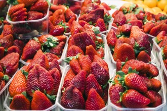 Punnets of strawberries