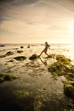 Teenage boy exploring tide pools in La Jolla, California