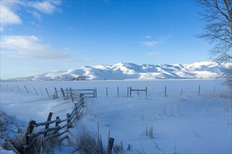 Fence and snow field during winter in Picabo, Idaho