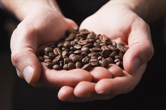 Roasted coffee beans in man's cupped hands