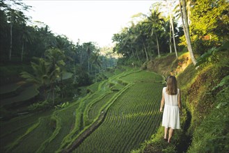 Woman wearing white dress on terraced rice paddies in Bali, Indonesia
