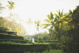Woman wearing white dress on terraced rice paddies in Bali, Indonesia