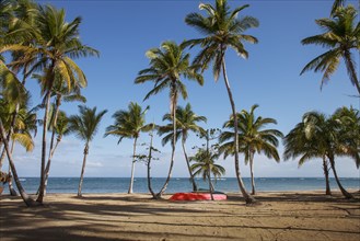 Red boat under palm trees on beach in Las Terrenas, Dominican Republic