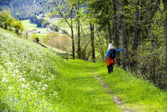 Woman hiking by wildflowers in Dolomites, Italy