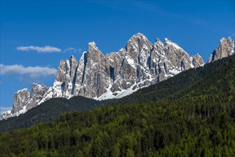 Forest by mountain peaks in Dolomites, Italy