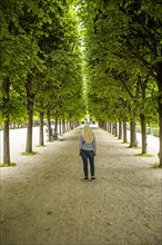 Woman between rows of trees in Palais-Royal gardens in Paris, France