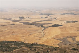 Rural landscape in Palouse, Washington, USA