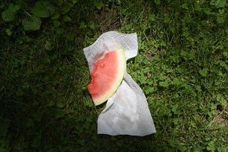 Slice of watermelon with napkin on grass