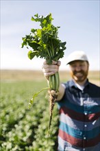 Smiling man holding vegetable crop in field