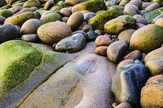 Rocks on beach in Acadia National Park