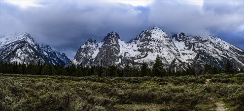 Snowcapped mountains by bush land in Grand Teton National Park