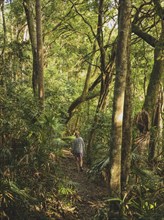 Woman walking in forest in Myall Lakes National Park