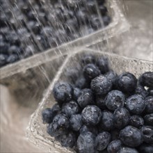 Water running on blueberries