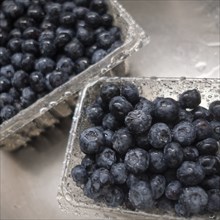Wet blueberries in sink