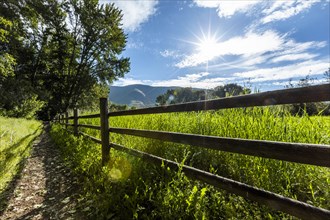 Wooden fence by green field