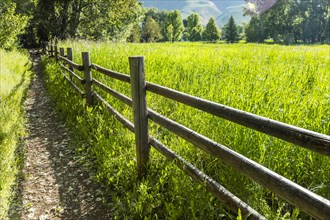 Wooden fence by green field